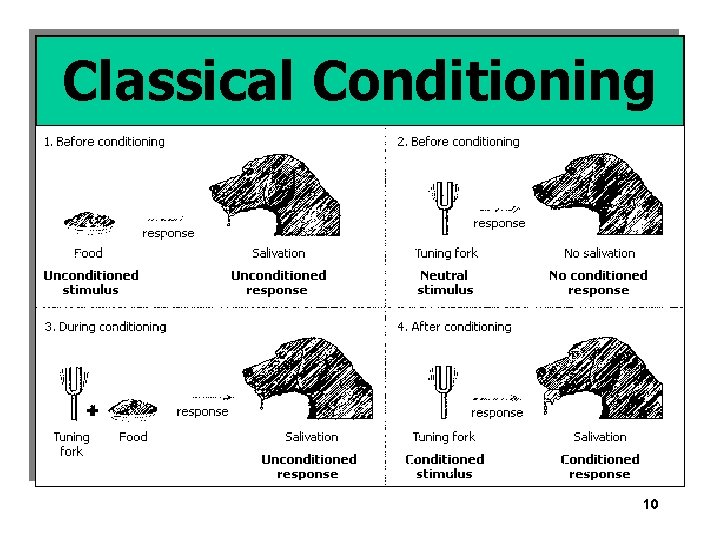 Classical Conditioning 10 