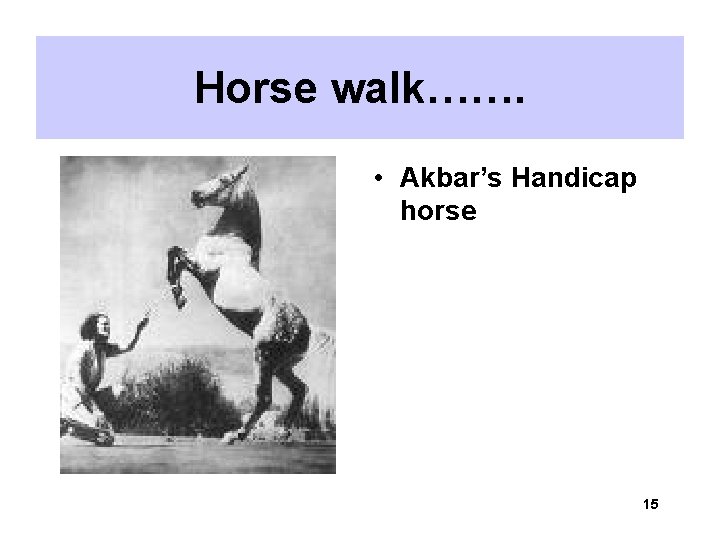 Horse walk……. • Akbar’s Handicap horse 15 