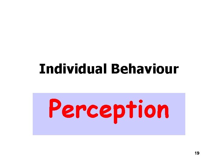 Individual Behaviour Perception 19 