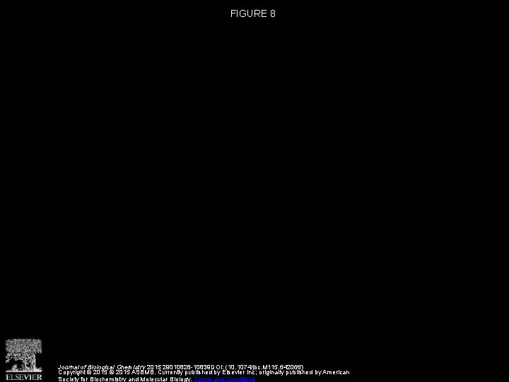FIGURE 8 Journal of Biological Chemistry 2015 29010828 -10839 DOI: (10. 1074/jbc. M 115.