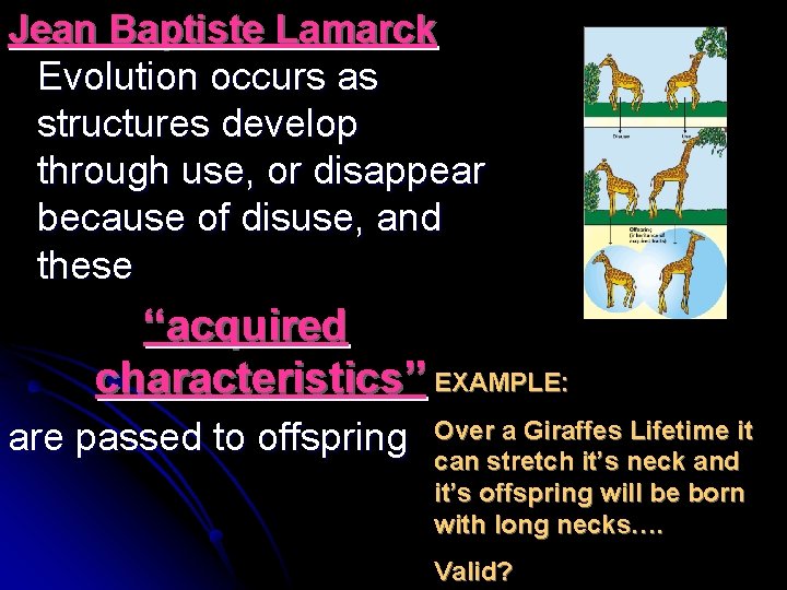 Jean Baptiste Lamarck Evolution occurs as structures develop through use, or disappear because of