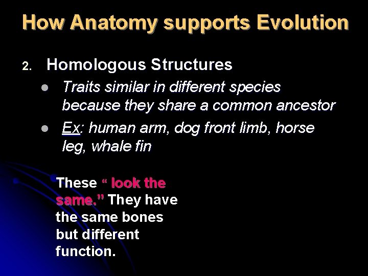 How Anatomy supports Evolution 2. Homologous Structures l l Traits similar in different species