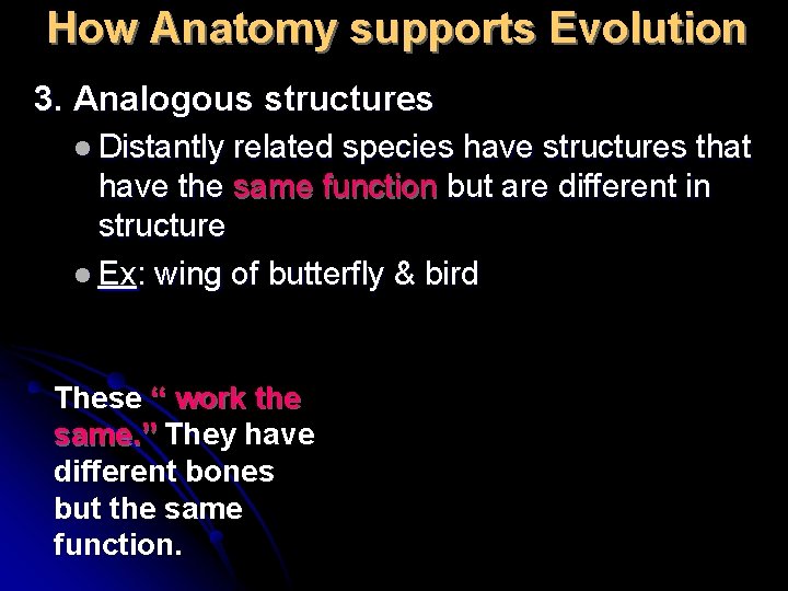 How Anatomy supports Evolution 3. Analogous structures l Distantly related species have structures that