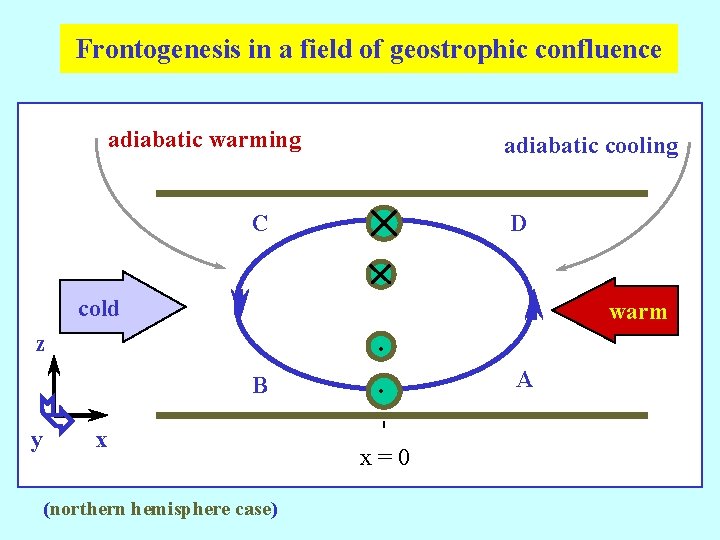 Frontogenesis in a field of geostrophic confluence adiabatic warming adiabatic cooling C D cold