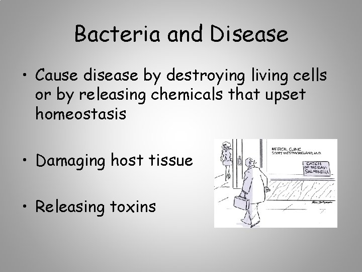 Bacteria and Disease • Cause disease by destroying living cells or by releasing chemicals