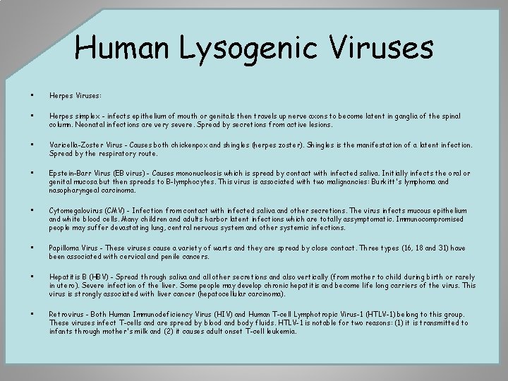 Human Lysogenic Viruses • Herpes Viruses: • Herpes simplex - infects epithelium of mouth
