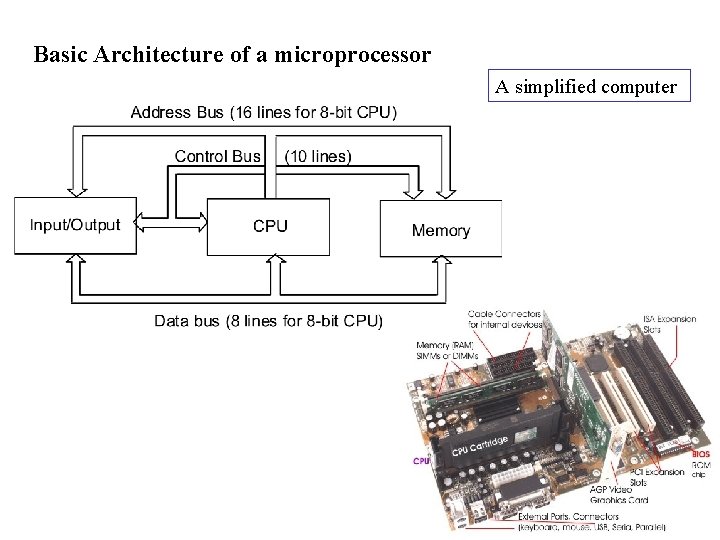 Basic Architecture of a microprocessor A simplified computer Basic Architecture of a microprocessor A simplified computer