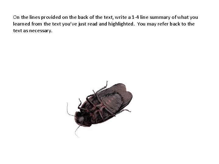 On the lines provided on the back of the text, write a 1 -4
