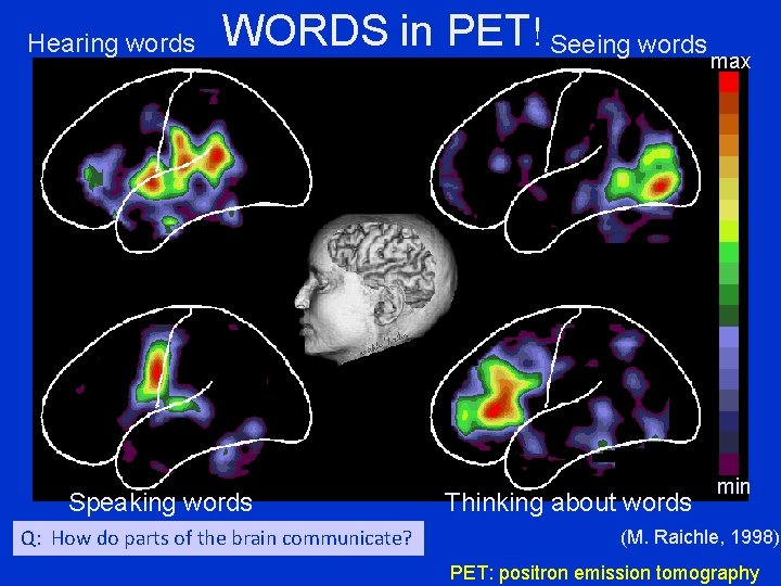 Hearing words WORDS in PET! Seeing words Speaking words Q: How do parts of