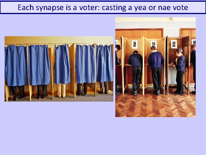 Each synapse is a voter: casting a yea or nae vote 