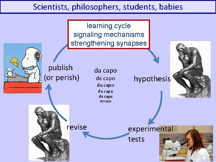Scientists, philosophers, students, babies ? learning cycle signaling mechanisms challenge strengthening questionsynapses publish (or
