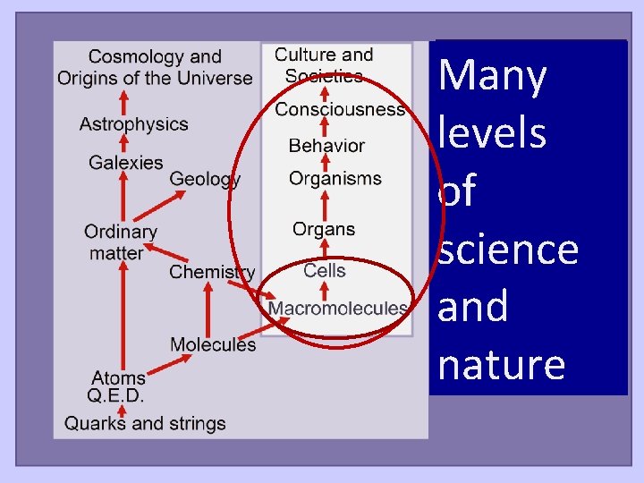 Many levels of science and nature 