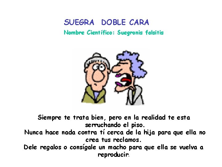 SUEGRA DOBLE CARA Nombre Científico: Suegronis falsitis Siempre te trata bien, pero en la