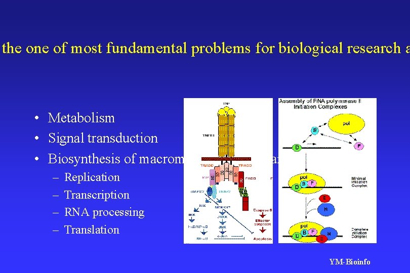the one of most fundamental problems for biological research a • Metabolism • Signal