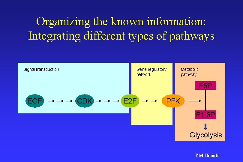 Organizing the known information: Integrating different types of pathways Signal transduction Gene regulatory network