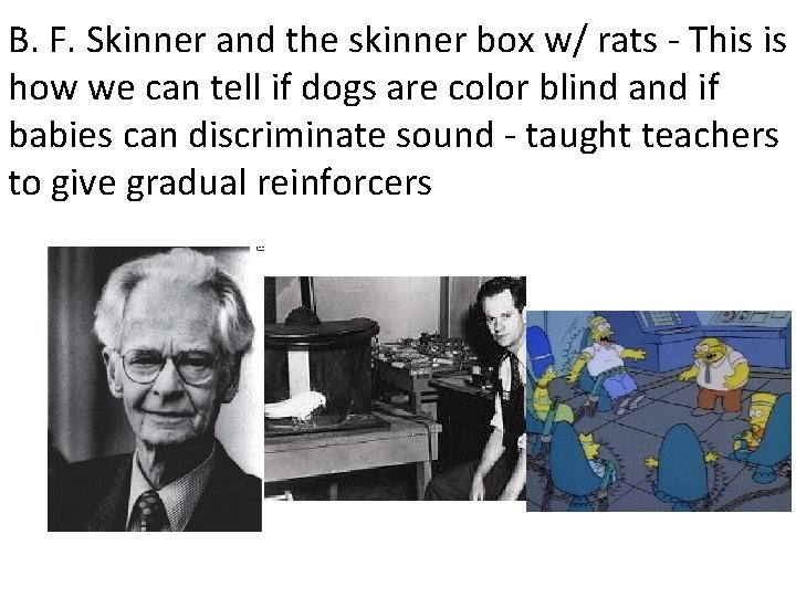 B. F. Skinner and the skinner box w/ rats - This is how we