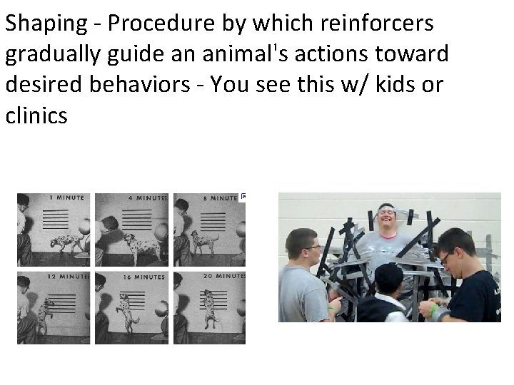 Shaping - Procedure by which reinforcers gradually guide an animal's actions toward desired behaviors