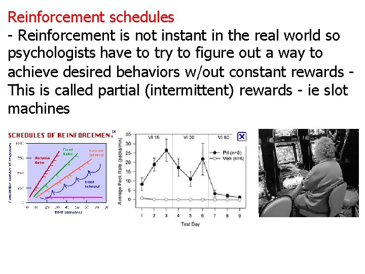 Reinforcement schedules - Reinforcement is not instant in the real world so psychologists have