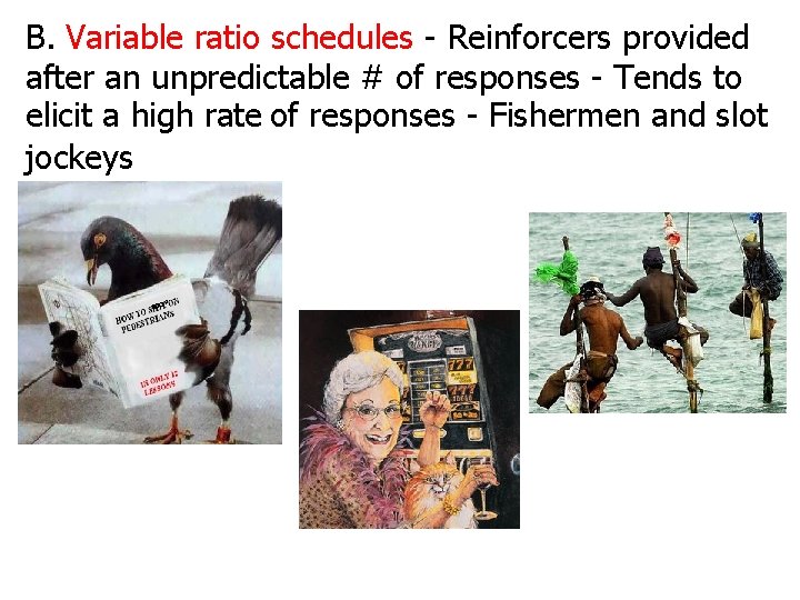 B. Variable ratio schedules - Reinforcers provided after an unpredictable # of responses -