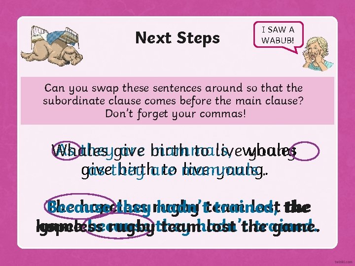 Next Steps I SAW A WABUB! Can you swap these sentences around so that