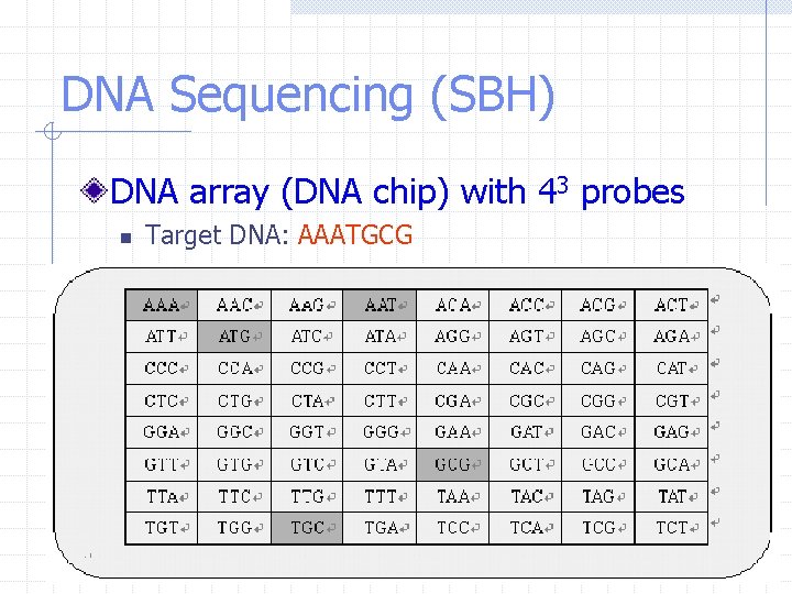 DNA Sequencing (SBH) DNA array (DNA chip) with 43 probes n Target DNA: AAATGCG