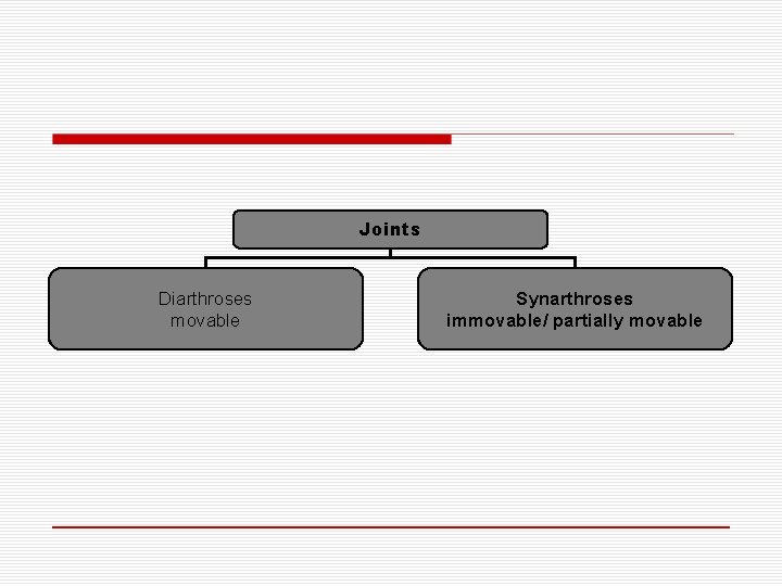 Joints Diarthroses movable Synarthroses immovable/ partially movable 