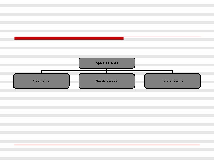 Synarthrosis Synostosis Syndesmosis Synchondrosis 