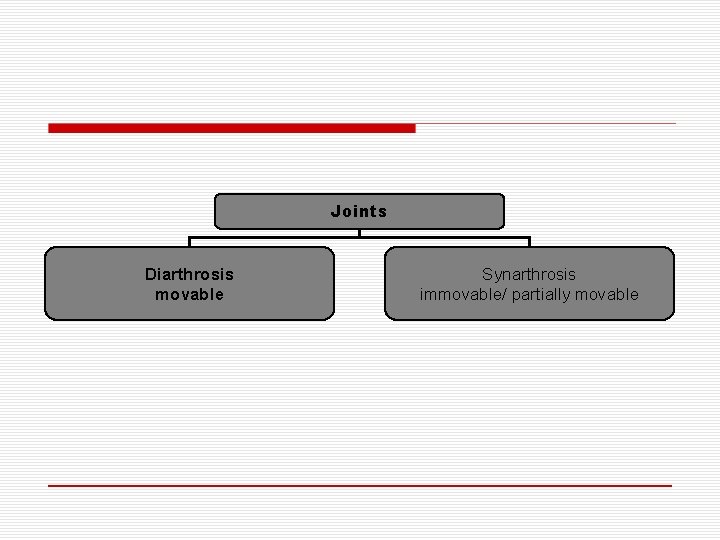 Joints Diarthrosis movable Synarthrosis immovable/ partially movable 