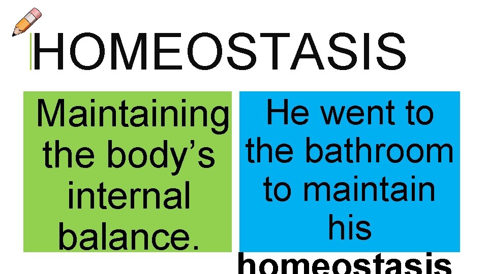 HOMEOSTASIS Maintaining He went to the body’s the bathroom to maintain internal his balance. HOMEOSTASIS Maintaining He went to the body’s the bathroom to maintain internal his balance.