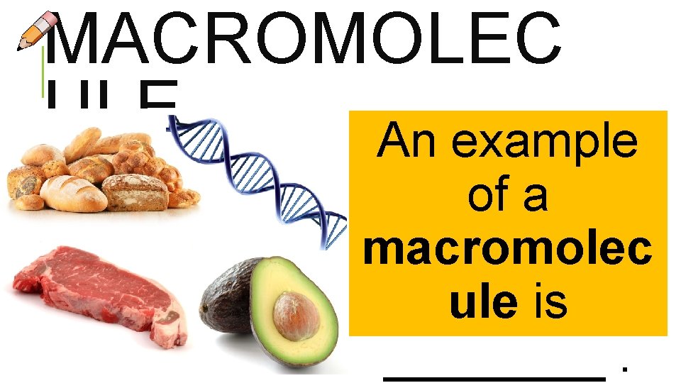 MACROMOLEC ULE An example of a macromolec ule is ____.  MACROMOLEC ULE An example of a macromolec ule is ____.