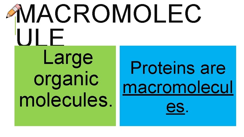 MACROMOLEC ULE Large Proteins are organic macromolecules.  MACROMOLEC ULE Large Proteins are organic macromolecules.