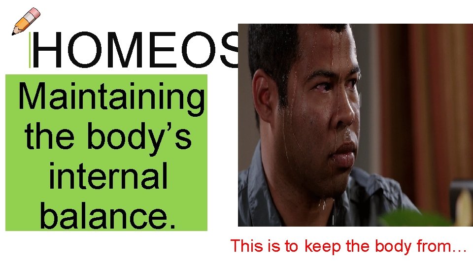HOMEOSTASIS Maintaining the body’s internal balance. This is to keep the body from…  HOMEOSTASIS Maintaining the body’s internal balance. This is to keep the body from…