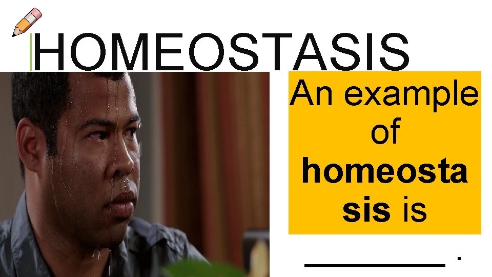 HOMEOSTASIS An example of homeosta sis is _______.  HOMEOSTASIS An example of homeosta sis is _______.