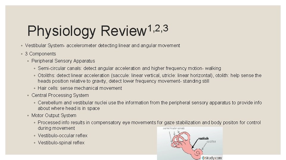 Physiology 1, 2, 3 Review ◦ Vestibular System- accelerometer detecting linear and angular movement