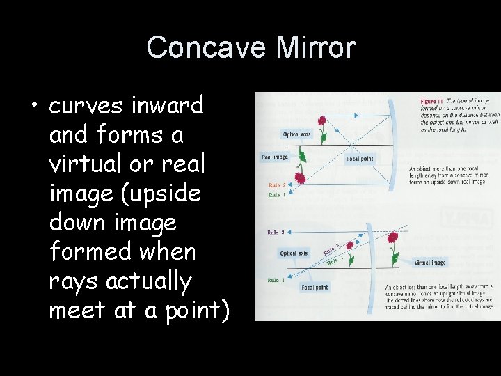 Concave Mirror • curves inward and forms a virtual or real image (upside down