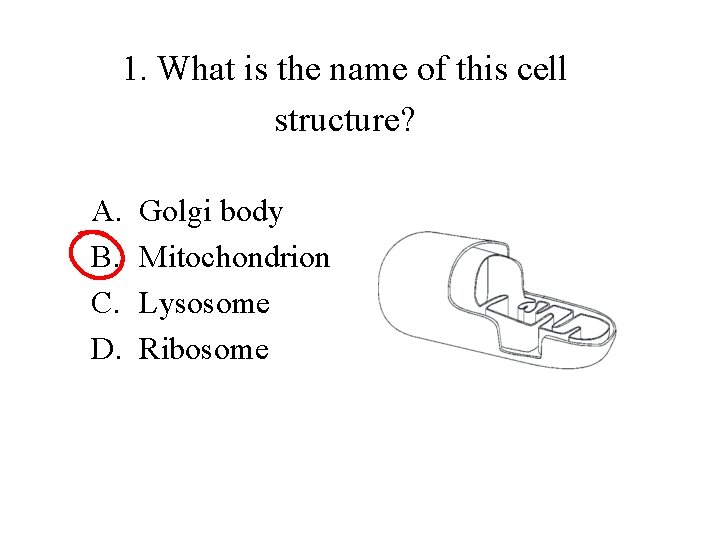 1. What is the name of this cell structure? A. B. C. D. Golgi