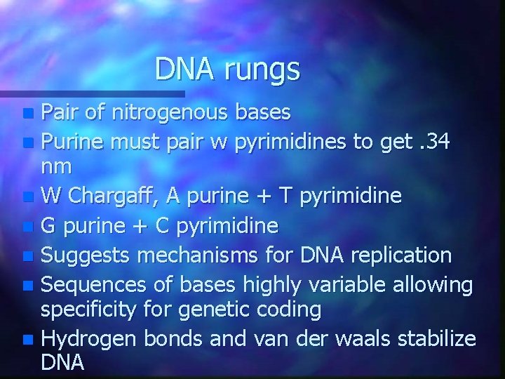 DNA rungs Pair of nitrogenous bases n Purine must pair w pyrimidines to get. DNA rungs Pair of nitrogenous bases n Purine must pair w pyrimidines to get.