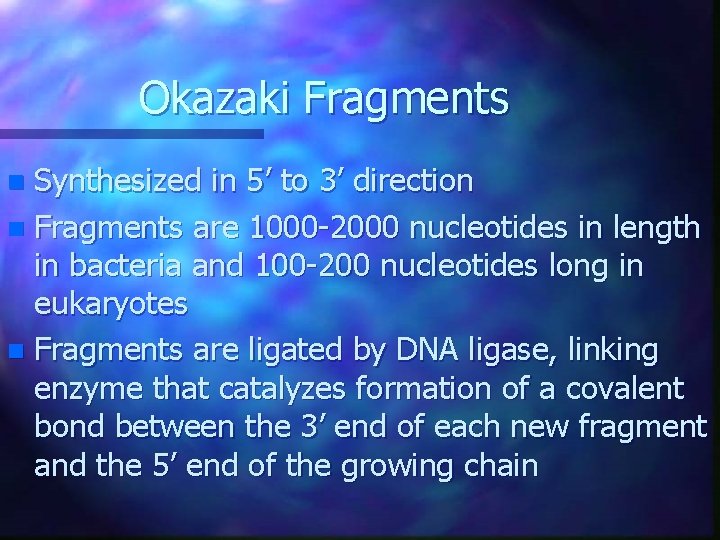 Okazaki Fragments Synthesized in 5’ to 3’ direction n Fragments are 1000 -2000 nucleotides Okazaki Fragments Synthesized in 5’ to 3’ direction n Fragments are 1000 -2000 nucleotides
