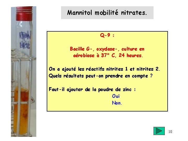 Mannitol mobilité nitrates. Q-9 : Bacille G-, oxydase-, culture en aérobiose à 37° C,