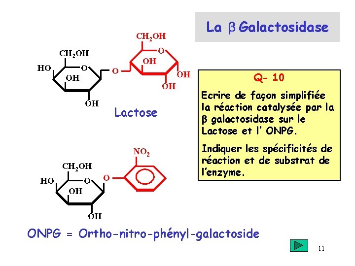 La b Galactosidase CH 2 OH O CH 2 OH HO OH OH Lactose