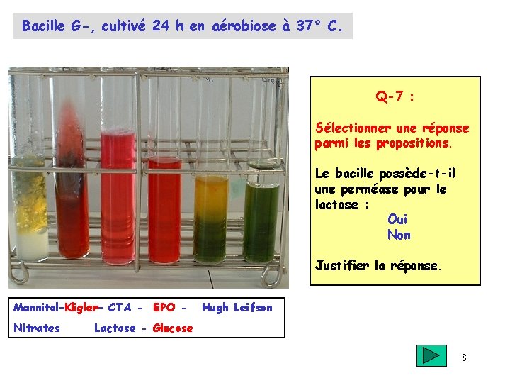 Bacille G-, cultivé 24 h en aérobiose à 37° C. Q-7 : Sélectionner une