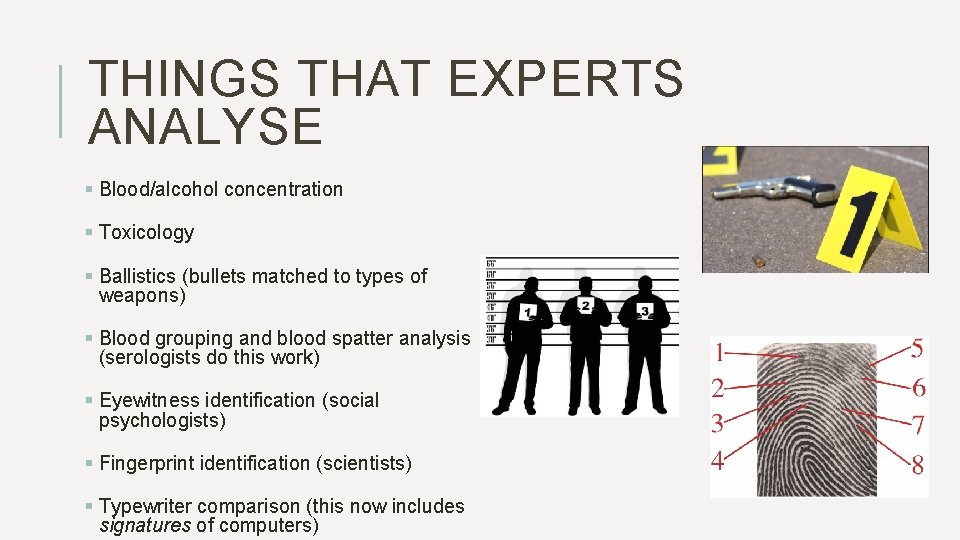 THINGS THAT EXPERTS ANALYSE § Blood/alcohol concentration § Toxicology § Ballistics (bullets matched to