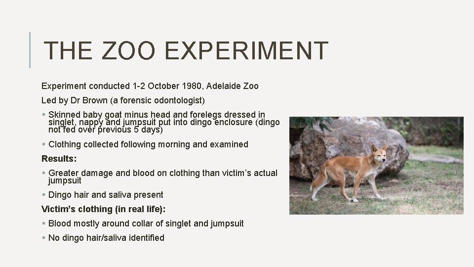THE ZOO EXPERIMENT Experiment conducted 1 -2 October 1980, Adelaide Zoo Led by Dr