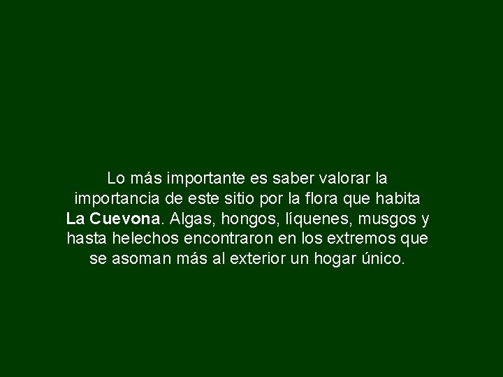 Lo más importante es saber valorar la importancia de este sitio por la flora