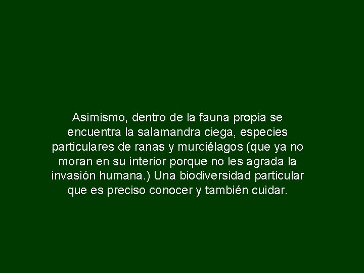 Asimismo, dentro de la fauna propia se encuentra la salamandra ciega, especies particulares de