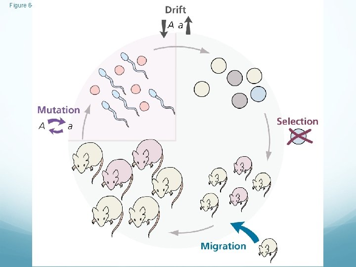 Figure 6 -11 