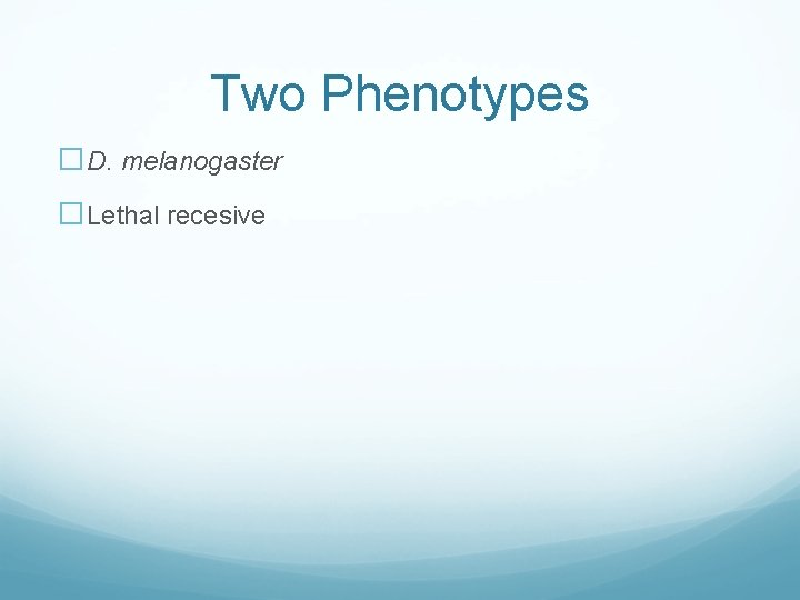 Two Phenotypes �D. melanogaster �Lethal recesive 
