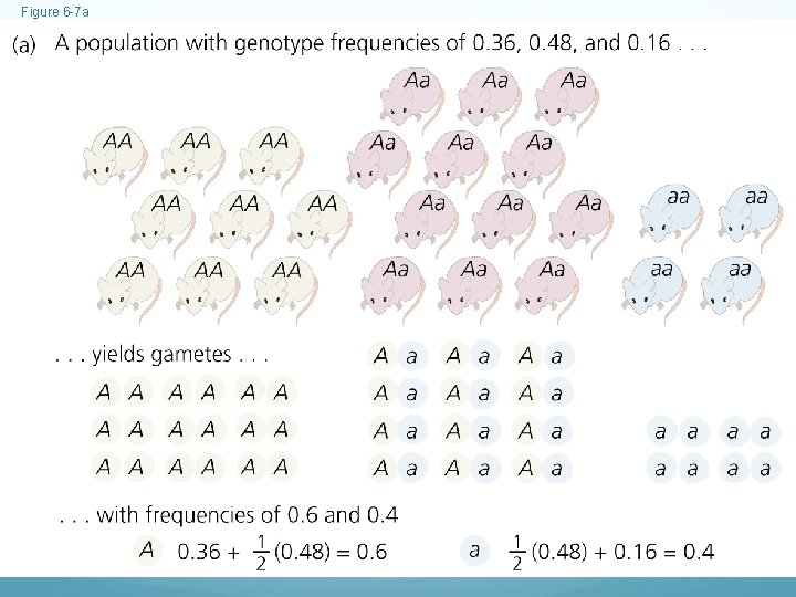 Figure 6 -7 a 