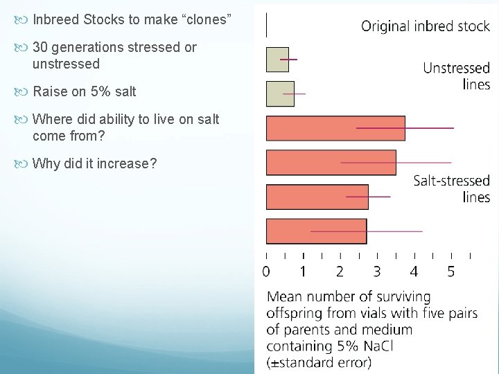  Inbreed Stocks to make “clones” 30 generations stressed or unstressed Raise on 5%