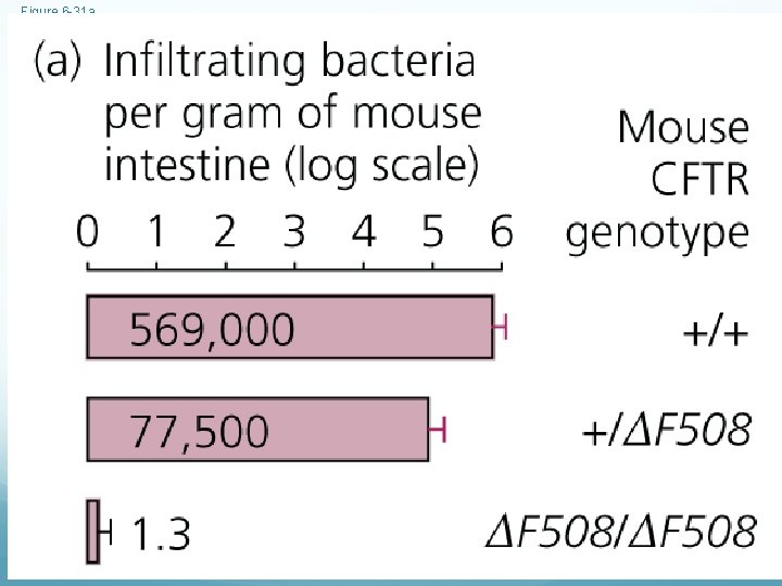 Figure 6 -31 a 